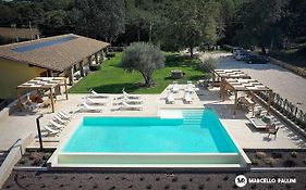 La Noce